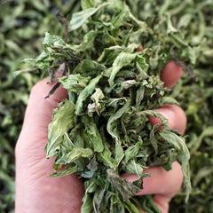 Dry Aromatic Peppermint Leaves - Edible & Premium Quality